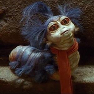 Meet your Posher, Lilia